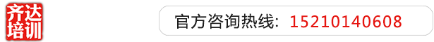 暴操黑丝骚逼齐达艺考文化课-艺术生文化课,艺术类文化课,艺考生文化课logo